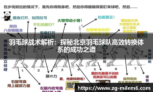 羽毛球战术解析：探秘北京羽毛球队高效转换体系的成功之道