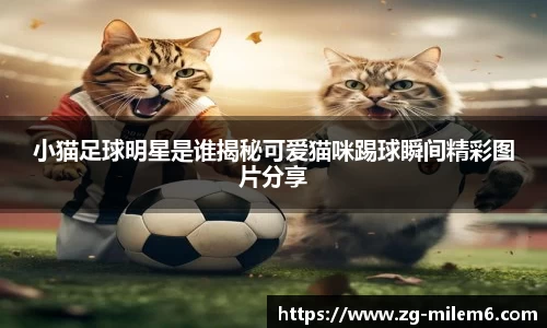 小猫足球明星是谁揭秘可爱猫咪踢球瞬间精彩图片分享